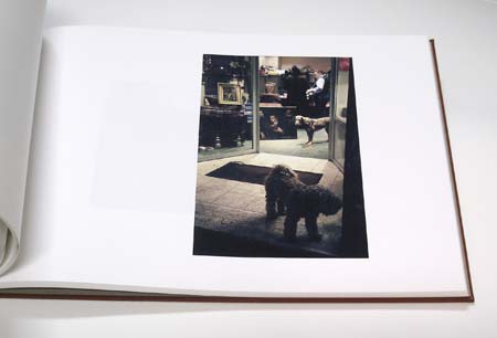 60_dogs_2
