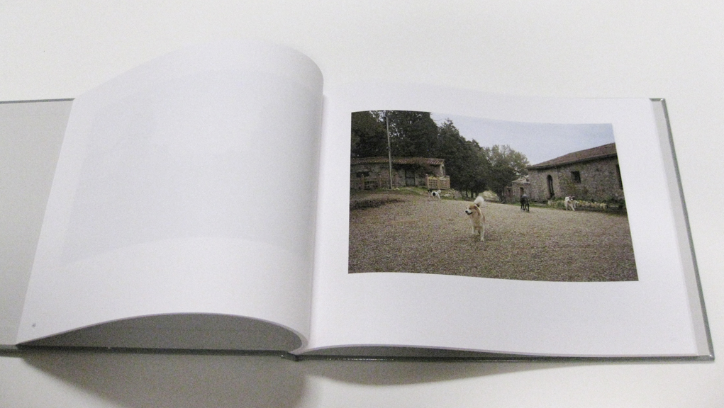 001 60_dogs_5