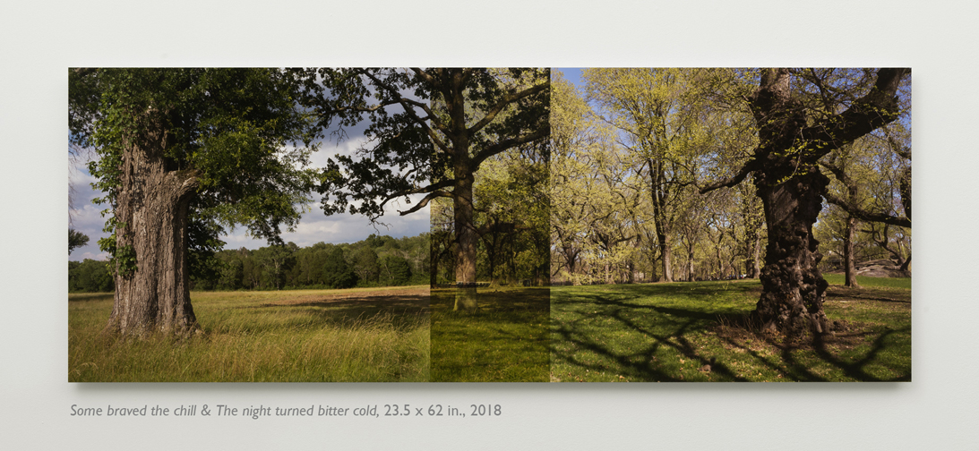 005_Cella 7-20 020