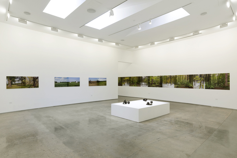 015_Cella 7-20 005