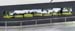 001_Panorama_trees_s