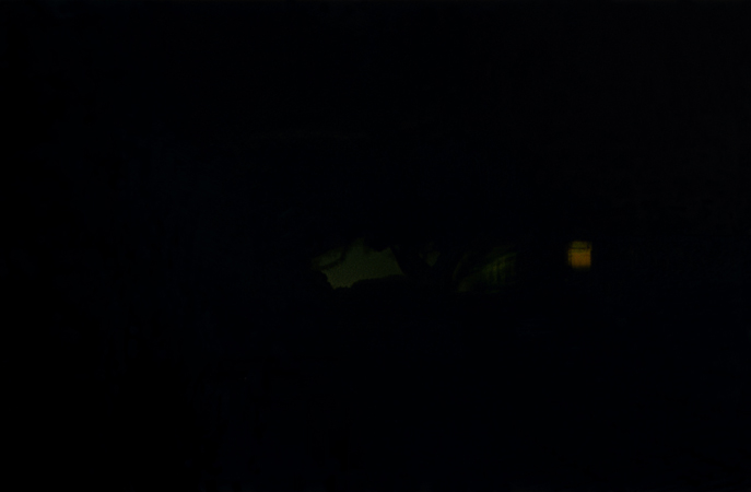 008