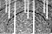 22_tree arc_D_detail