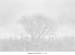 23_tree arc_P_covered