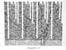 25_trees_D
