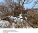 17_40_EL_Near Marqu#1466FB3