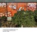 17-24_AU_York Blvd #146B77A