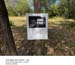 30_41_BS_Haney St n#146C71B