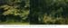 006_FB_MissRF_1