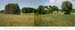 021_PFair_Perrysville_1