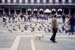 09_01a_140_pigeons