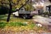 19_01a_164_dog and truck