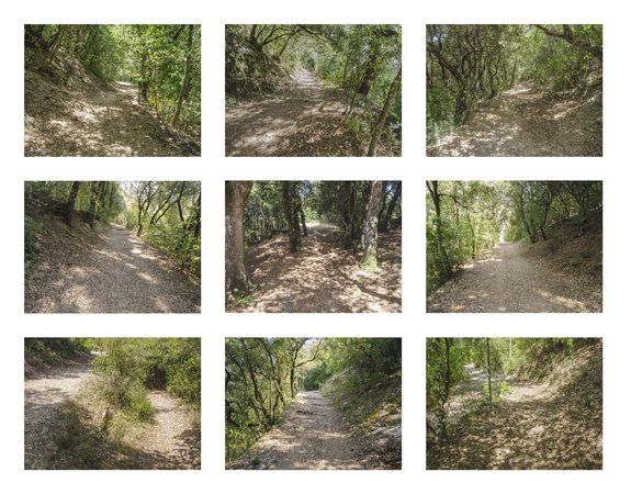 04_trail w banks