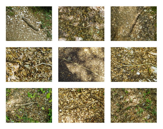 17_ground w sticks