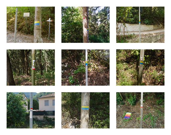 20_pole markers