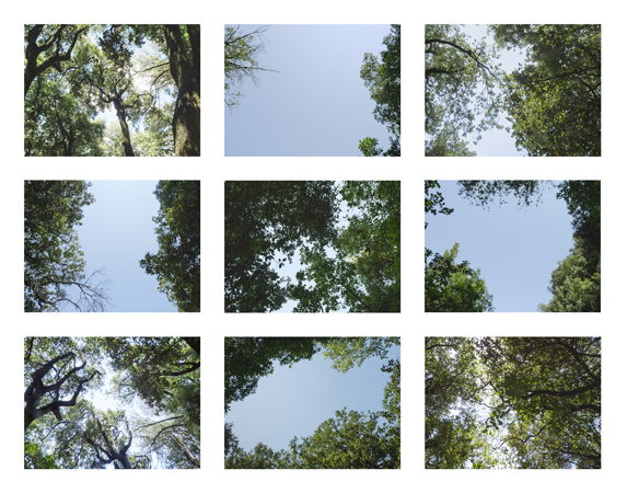 26_sky 3