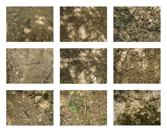 43_ground w sticks 2