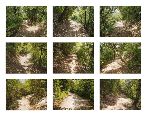 44_trails with shadows