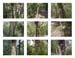 08_Tree markers