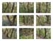 18_2 trees