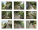 22_trail with railings