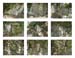 30_Large rocks