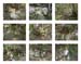 37_rocks & Trees