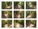 44_trails with shadows