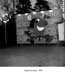 010_ol_crazy_gs
